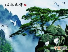 怎样的睡眠使你延年益寿 怎样的睡眠使你延年益寿英文