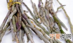 铁皮石斛用什么盆栽种 铁皮石斛的盆栽好养吗