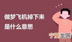 做梦飞机掉下来了是什么意思 梦见飞机掉下来的意思