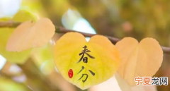 2024年春分是几月几号几点几分