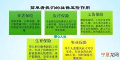 五险中途不交了可以退，五险交了5年可以退去哪退