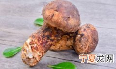 新鲜松茸怎么保鲜 新鲜松茸怎么保鲜时间长