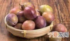 红梅果是什么水果 红梅是什么一种水果呢