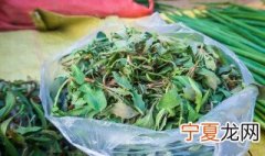 山东苦菜怎么保鲜时间长 山东苦菜怎么保鲜