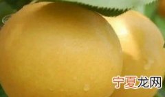 南果梨可以冷冻保存吗 南果梨可以放冰箱里冻着吃吗