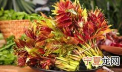 怎样储存香椿好吃 如何储存香椿