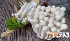 白灵菇生长对环境的要求 白蘑菇生长环境