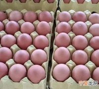 粉皮鸡蛋怎么做，粉蛋和红蛋的区别