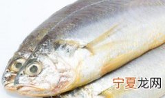 鱼片可以冷藏多久 生鱼可以冷冻多久