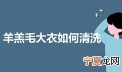 羊羔毛大衣如何清洗 羊羔毛大衣清洗方法