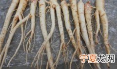 人参真假的简单的方法 人参真假的简单的方法是什么