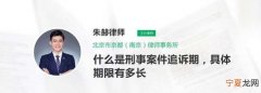 刑事案件追诉期限最长多久