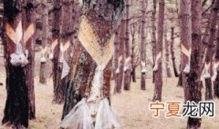 松油怎么去掉 去除松油的方法