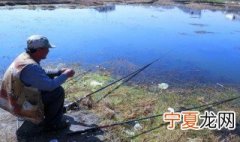 鱼塘肥水钓鱼技巧 肥水鱼塘钓鱼的技巧