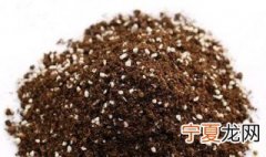 盆栽绣球配土 绣球配土怎么做才好