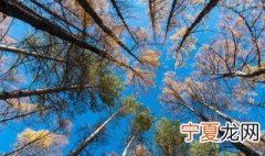 仰拍和俯拍技巧 怎样掌握俯拍和仰拍摄影技巧