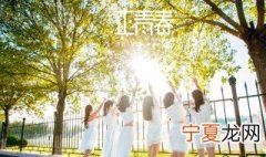 正青春导演是谁 正青春的导演是谁