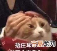 遇到不厚道的人怎么办