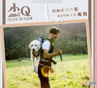 小Q结局，我们是兄弟小说结局没看明白王龙到底是不是博龙的儿子他为什么不