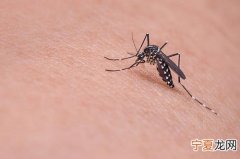 农村厕所夏天蚊子多怎么办 夏天蚊子多怎么办