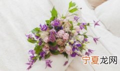 最简单的鲜花保鲜方法 鲜花保鲜方法