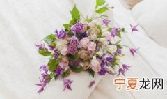 鲜花保鲜柜的最佳温度 鲜花保鲜柜的最佳温度在几度