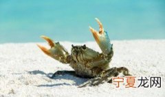 保存太子蟹的方法 怎么区分保存好没