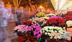 什么花不能用羊粪 什么花不可以用羊粪