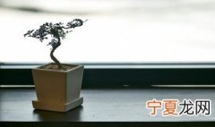 水果的籽要怎么种 水果的籽要怎么种才能发芽