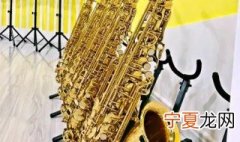 学萨克斯有用吗 请问萨克斯好学吗