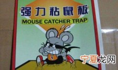 粘鼠板怎么用 粘鼠板的用法介绍