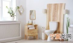 厕所除味放什么东西 厕所除异味实用妙招