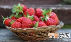 室内栽草莓好不好 在室内养草莓盆栽好吗