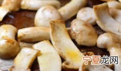 松茸什么味道 松茸的味道是啥样的呢