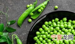 豌豆最佳播种与收获时间是什么时候 豌豆一般是什么时候播种什么时候收获