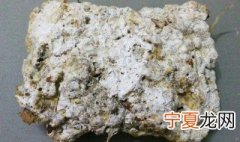 二代龙涎香是什么东西 二代龙涎香介绍