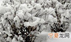 梦见雪是什么意思 梦见雪有什么寓意