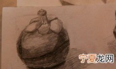 山竹素描教程 山竹素描教程图片
