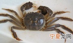 大闸蟹怎么保存不会死 大闸蟹的保存方法