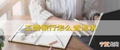 中国工商银行手机银行怎么查流水