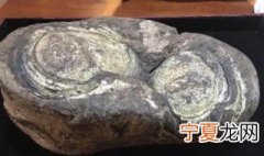 龙涎香是什么颜色 龙涎香的简单介绍