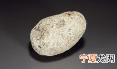 古代龙涎香是什么东西 龙涎香的本质是什么