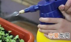 三七怎么浇水 三七多长时间浇一次水