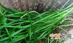 贴三伏贴可以吃韭菜吗 贴三伏贴可不可以吃韭菜