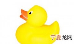 鸭子是什么意思呀 鸭子的含义