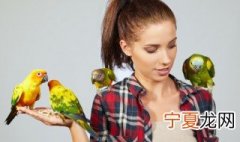 办理鹦鹉驯养繁殖许可证 如何办理鹦鹉养殖许可证