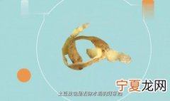 怎么样清洗水垢 下面6种方法可供选择