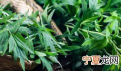 新鲜的艾草能驱蚊吗 艾草能驱蚊吗