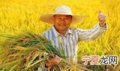 庆丰收迎小康宣传语 庆丰收迎小康宣传语有什么