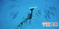 为什么有些生物可以在深海生存